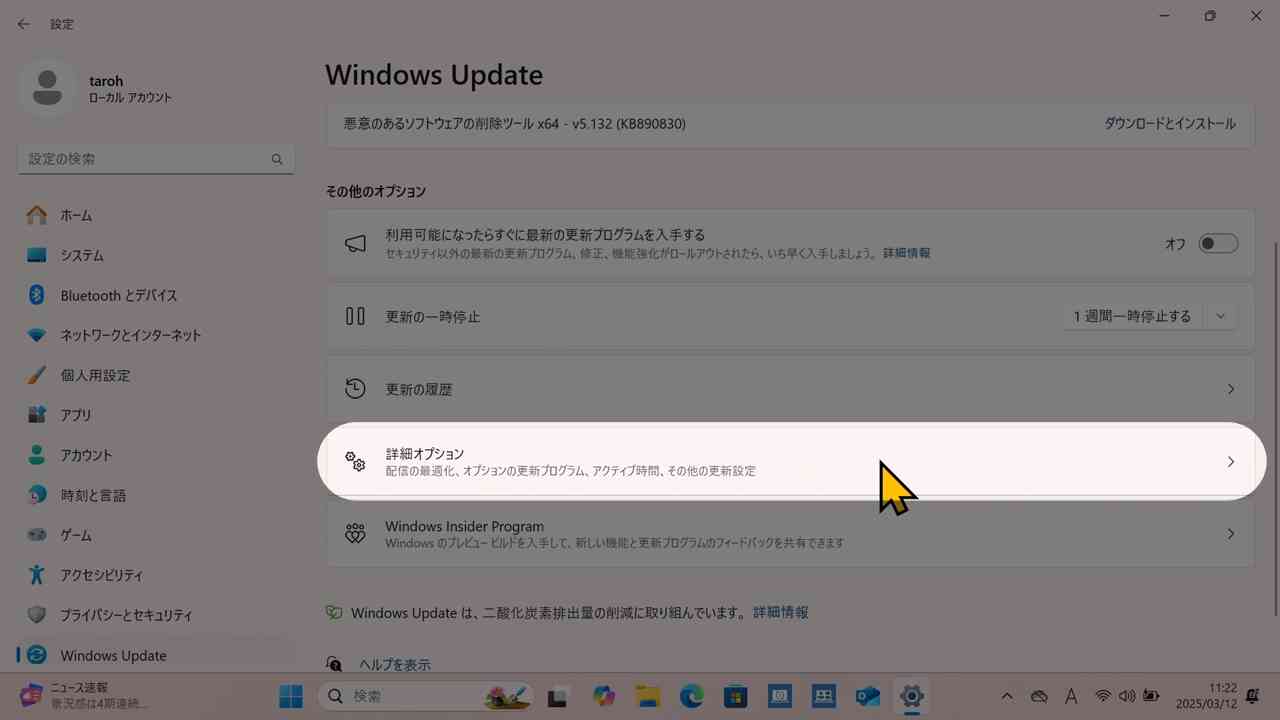 詳細オプション