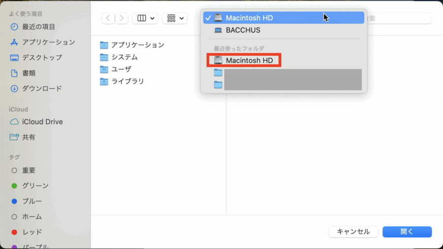 Macintosh HD を選んで検査